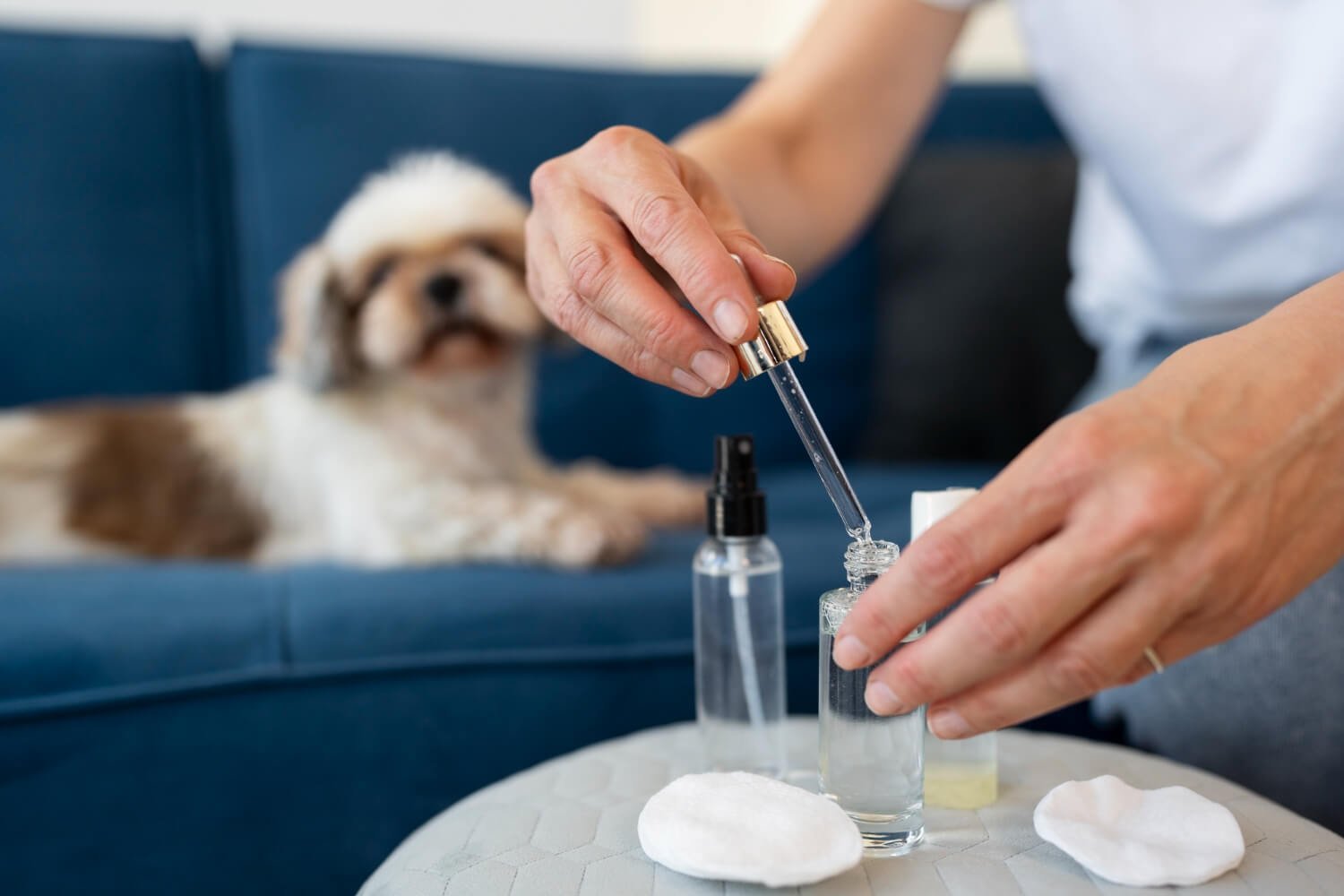 How CBD Oil Can Help Dogs Manage Anxiety and Pain